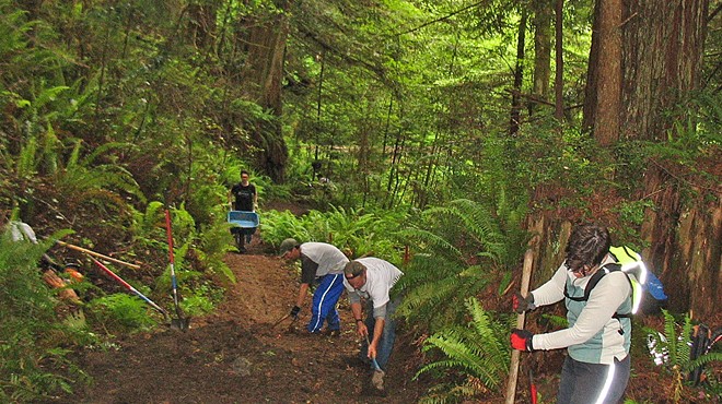Arcata Community Forest Work Day