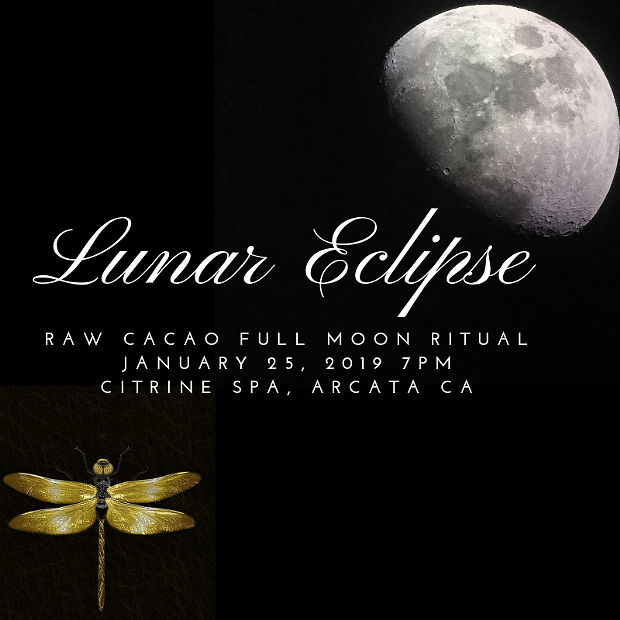 lunar_eclipse.png