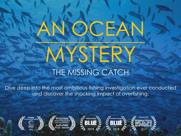 An Ocean Mystery