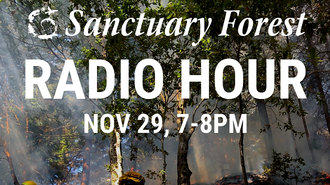 Sanctuary Forest Radio Hour