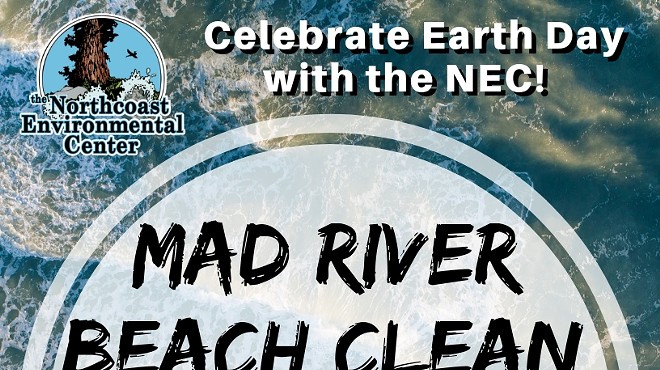 Earth Day Beach Clean