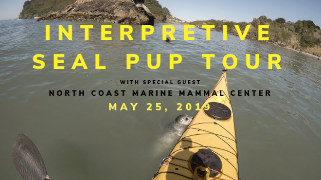Interpretive Seal Pup Tour w/ Northcoast Marine Mammal Center