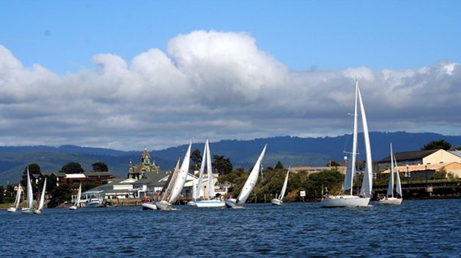 FOG Sailing Races Humboldt Bay