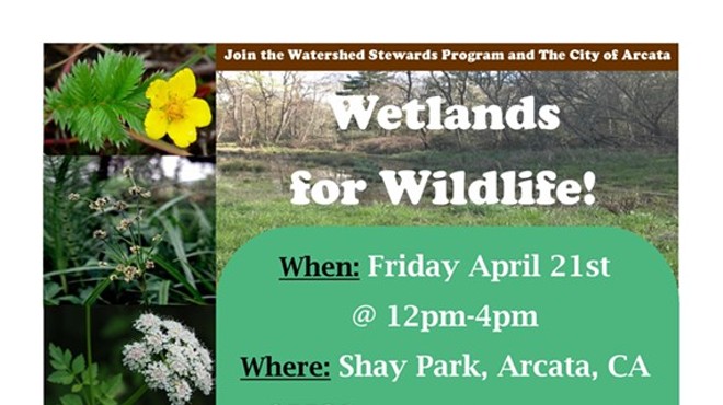 Wetlands for Wildlife