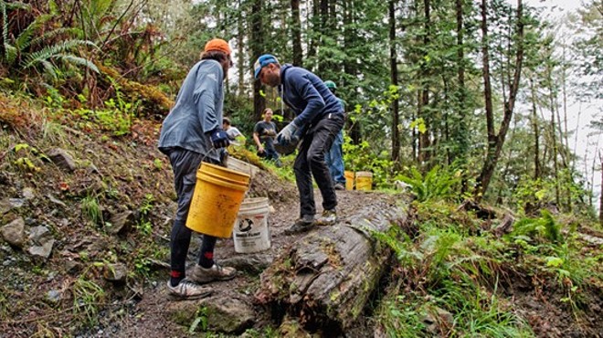 Arcata Community Forest Trail Volunteer Work Day