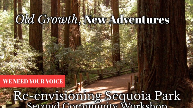 Sequoia Park Improvement Project