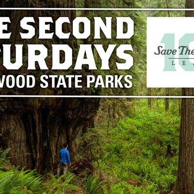 Free Second Saturday: Prairie Creek Redwoods State Park