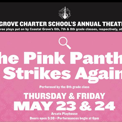 Pink Panther Poster