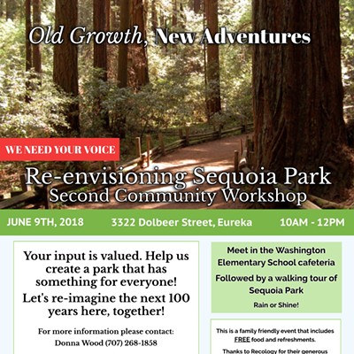 Sequoia Park Improvement Project