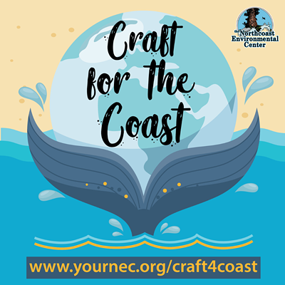 Craft for the Coast: Trash Art Contest