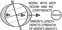 Diagram of the pull of the moon on the Earth, by Don Garlick.