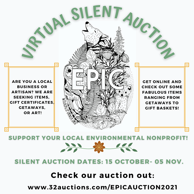 Virtual Silent Auction Flyer