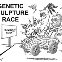 Genetic Sculpture Race