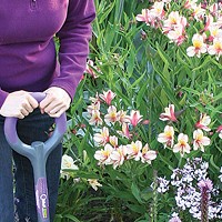Gifts for Every Gardener on Your List