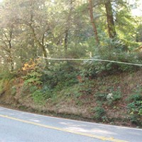 Judge Grants Preliminary Injunction on Richardson Grove Project