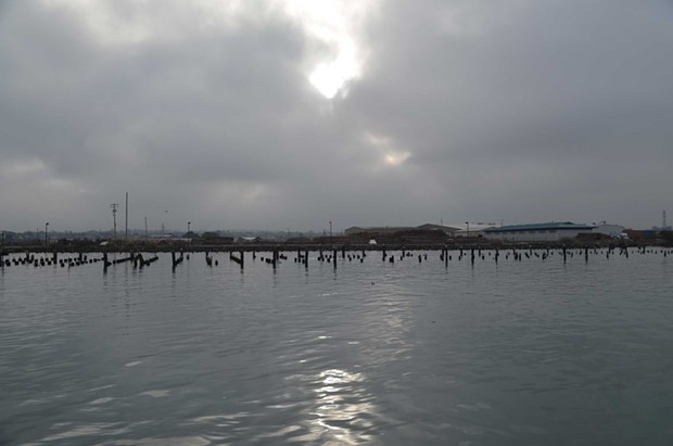 Pilings are nearly submerged south of the Wharfinger dock. - GRANT SCOTT-GOFORTH