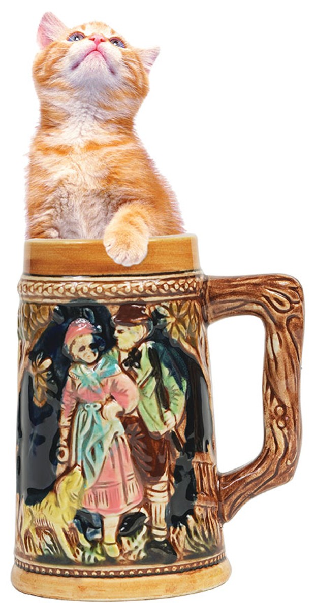 kitten in a stein. you're welcome.