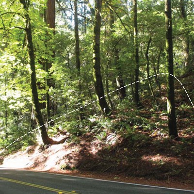 Roads and Redwoods