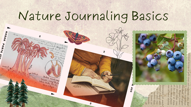 Nature Journaling Basics