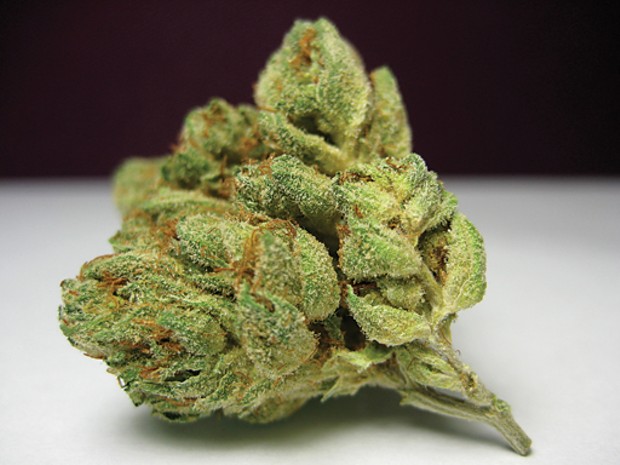 OG Kush - PHOTO COURTESY OF NICKEL BAG OF FUNK