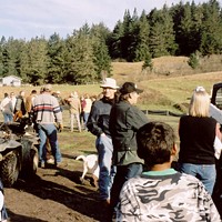 People and dogs gather to roust deer.
