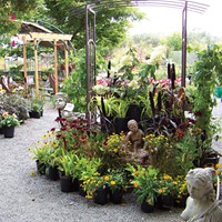 Best 'Garden Supply' Store