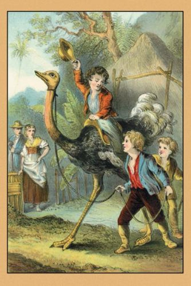 swiss-family-robinson-training-the-ostrich.jpg