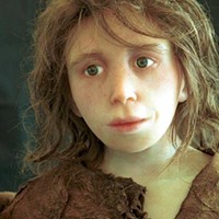 Reconstruction of a Neanderthal child, from a skeleton found in Gibraltar in 1926. Tomographic scanning was used to convert the remains into a computer model, from which a physical model was constructed using stereolithography.
