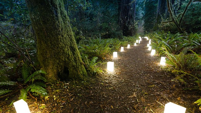 Redwood Parks Conservancy's Annual Candlelight Walk