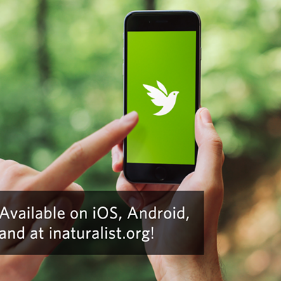 Download the free iNaturalist app before you come to the park!