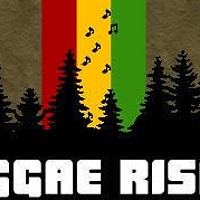 Reggae Rising's Busy Beaver Survives