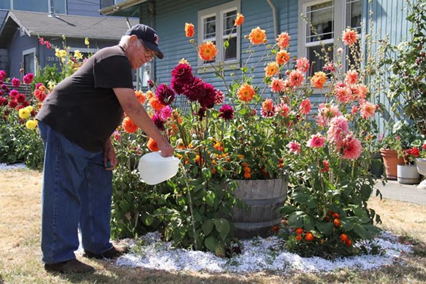 Rio Dell resident Bob Vogel waters his flowers using donated spring water. - PHOTO COURTESY CITY OF RIO DELL