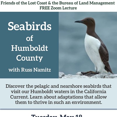 Seabirds of the Lost Coast Event Flyer