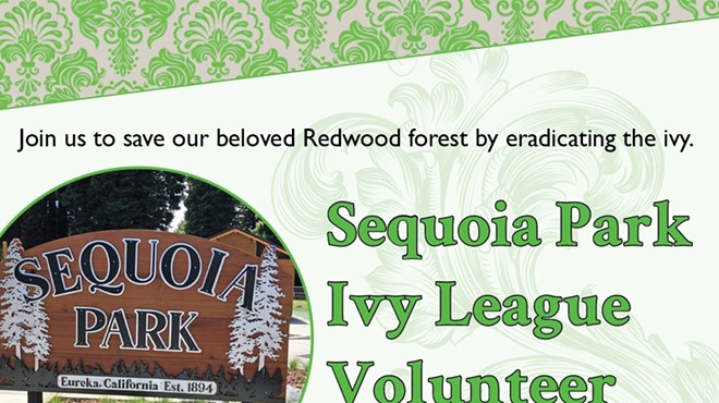 Sequoia Park Ivy League Volunteer Work Day