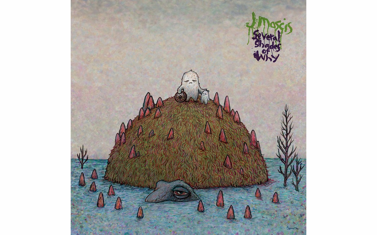 Several Shades of Why - BY J MASCIS - SUB POP