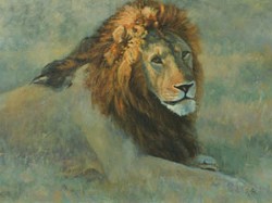 Susan Fox has traveled the world to watch the subjects of her paintings first-hand. Now, Arcata audiences can share in her travels. "First Light" will bring a slice of the Kenyan savanna to Stokes, Hamer, Kaufman and Kirk, LLP during Arts! Arcata.