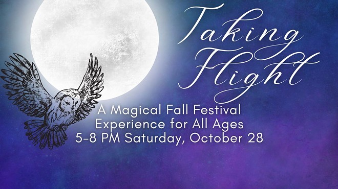 Taking Flight: A Magical Moonlit Hallows' Eve Tour