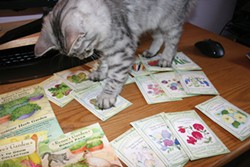 PHOTO BY GENEVIEVE SCHMIDT - Tamir playing with seed packets.