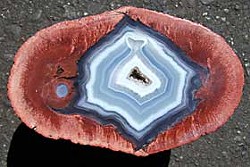 'Thunder-egg' Agate collected by Mike and Cece Novak.