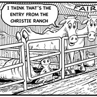 Christie Ranch Entry at the County Fair
