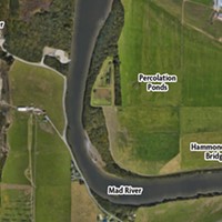 Spawning a Solution for McKinleyville's Wastewater