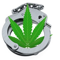Cannabis Raids and Our Economy