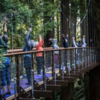 Photos: Redwood Sky Walk Grand Opening