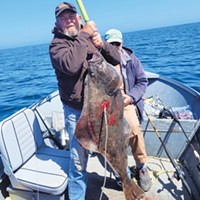 Wide-Open Pacific Halibut Bite Continues