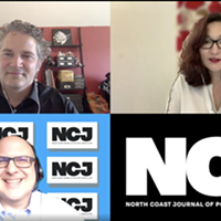 NCJ Preview: Nuclear Safety, Zoellner's Civil Case and Painted Wild Times