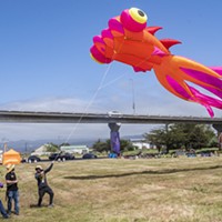 Photos: Redwood Coast Kite Festival and Artisan Fair