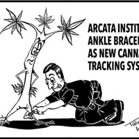 Cannabis Tracking?