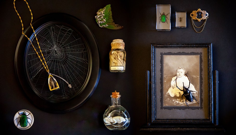 A collection from Many Hands’ cabinet of curiosities. - AMY KUMLER
