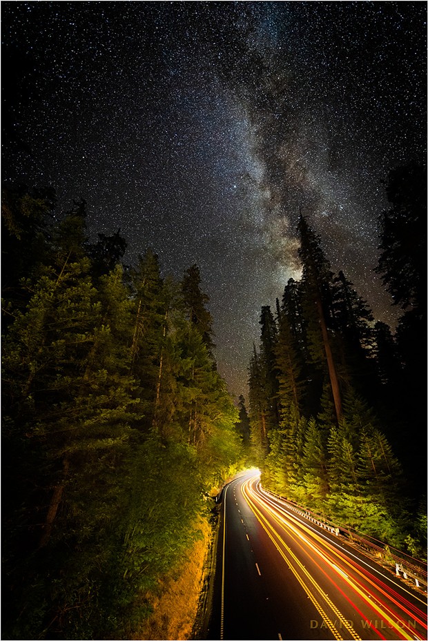 Late night cars paint their strokes of light onto the dark canvas along a redwood corridor on US 101, the Redwood Highway. Photographed from the Avenue of the Giants, Humboldt County, California. - DAVID WILSON