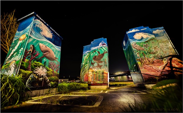 Three electrical utility boxes form a canvas for Dakota Daetwiler’s undersea triptych mural featuring local marine life. Find it next to the Pacific Outfitters parking lot at the corner of 5th and Myrtle in Eureka, California. Photographed January 16, 2020. - DAVID WILSON